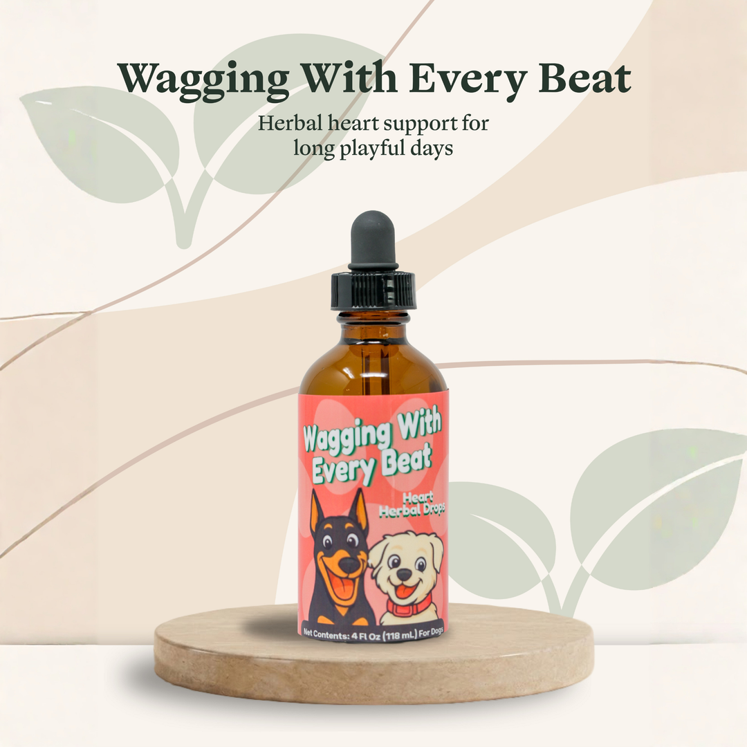 Heartworm Support Herbal Drops for Dogs