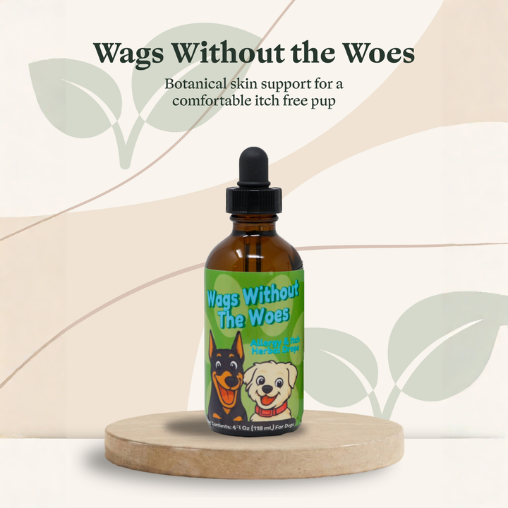 Eczema Support Herbal Drops for Dogs