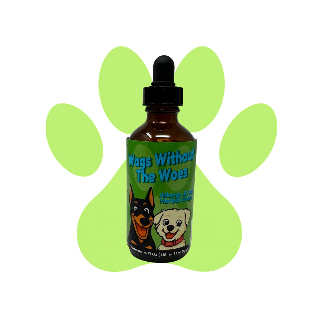 Eczema Support Herbal Drops for Dogs