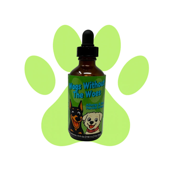 Eczema Support Herbal Drops for Dogs