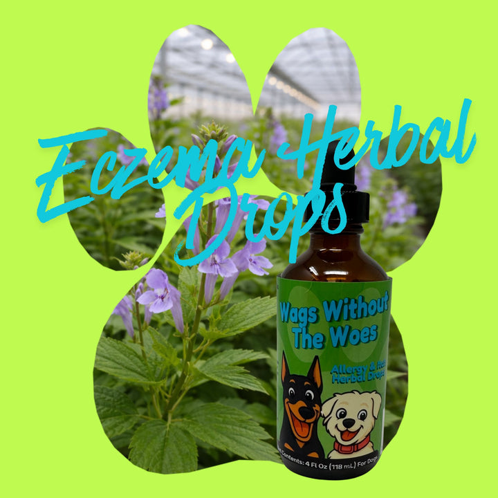 Eczema Support Herbal Drops for Dogs
