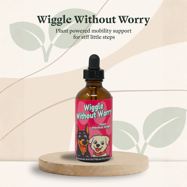 Arthritis Support Herbal Drops for Dogs